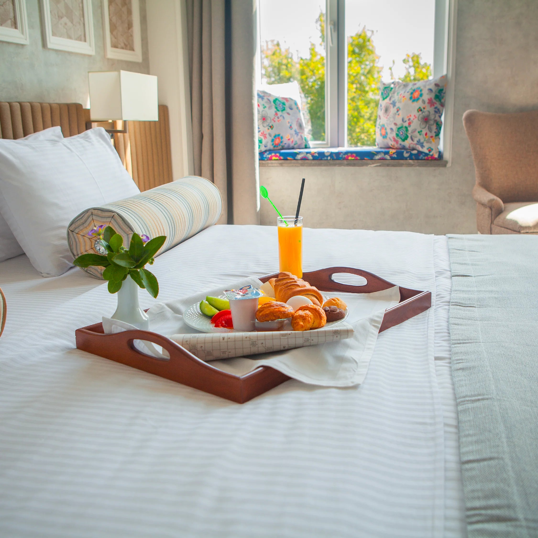 Hotels & Accomodation