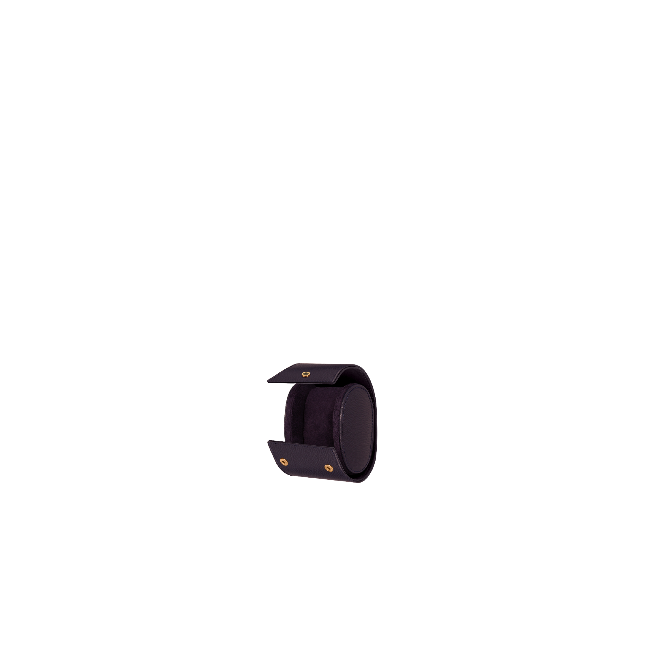 Watch Case: 1 Watch